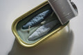 Tinned Fish Candle - Olive Oil + Sea Salt
